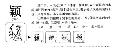 穎五行|颖字五行属什么